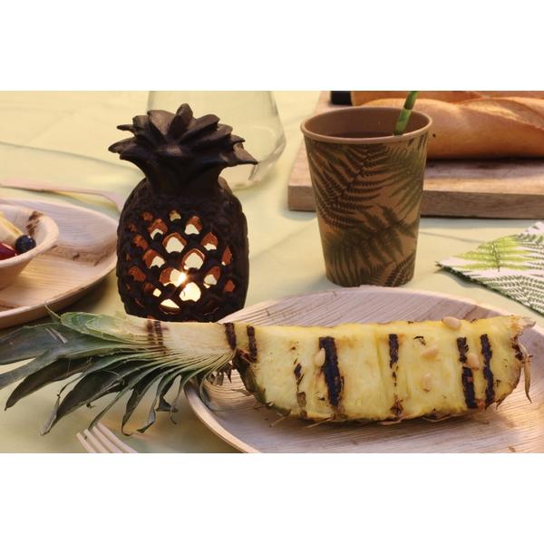 Gietijzeren Ananas Lantaarn – Decoratieve Tuinlantaarn | Esschert Design