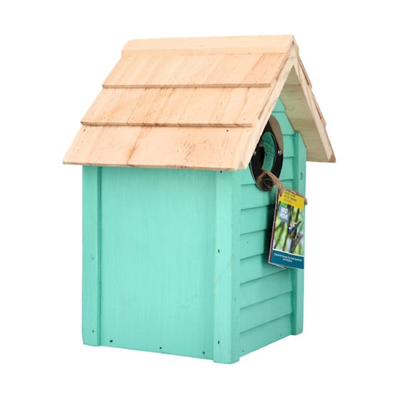 Bird Home Beach Nichoir Curaçao Vert