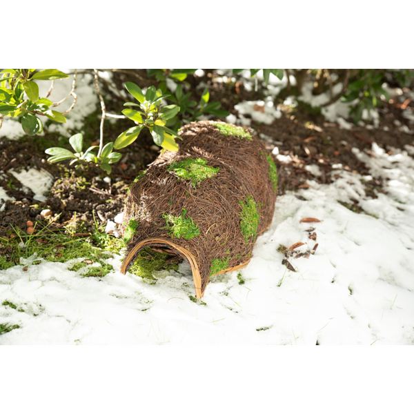 Extérieur de la maison du hérisson