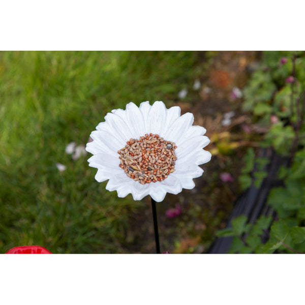 Bol d'alimentation Gardman / marguerite de bain d'oiseau sur broche