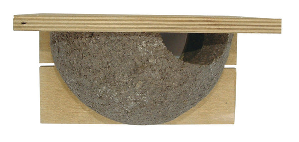 Nid d'hirondelle Cancun (single)