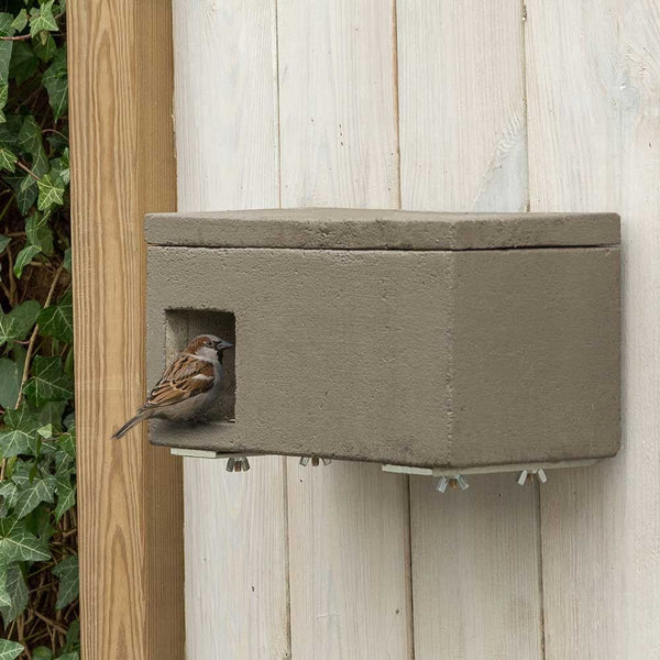 Moineau Loft Almeria