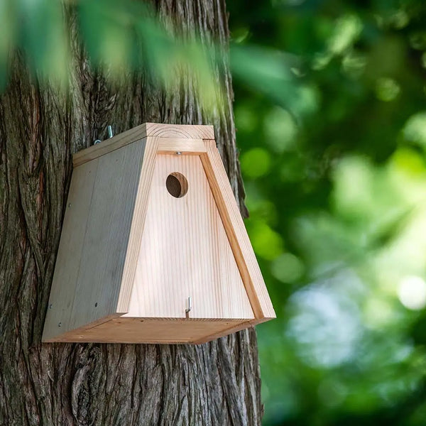 Kit de construction de nichoir Nala 28 mm