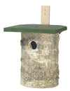 Koolmees Nestkast Berkenhout 32mm | CJ Wildlife