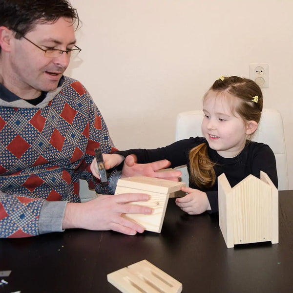 Kit de construction de la maison des papillons Dana