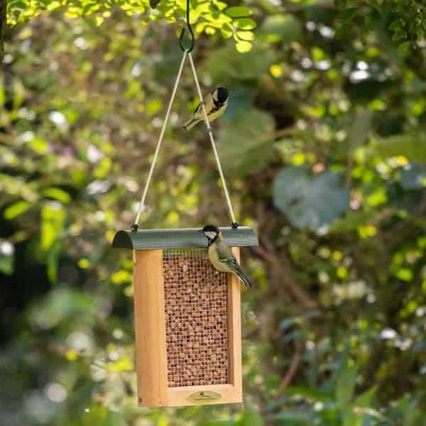Protection des oiseaux - Mangeoire à cacahuètes de Tulsa