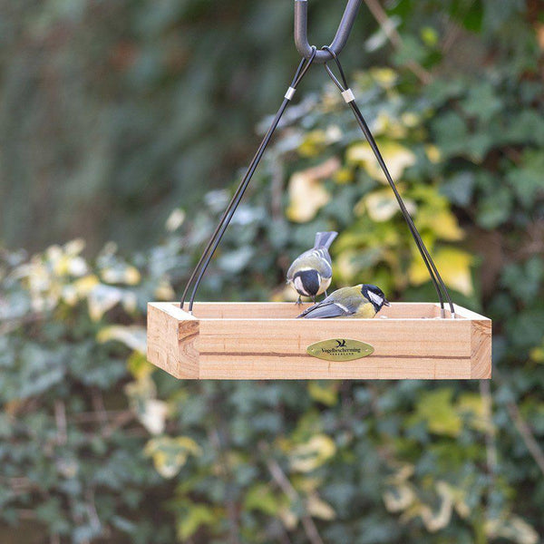 Protection des oiseaux - Table d'alimentation suspendue Aarhus