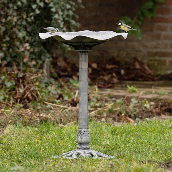 Bain d'oiseaux Silbersee