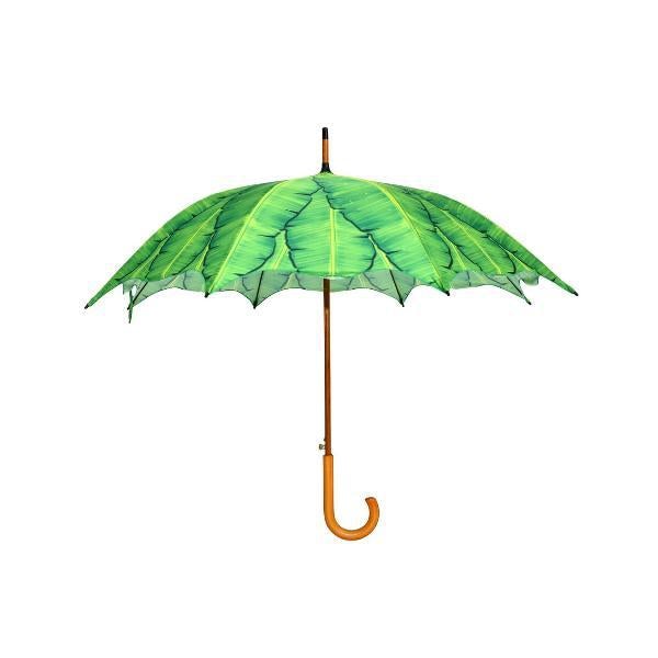 Feuilles de bananier parapluie