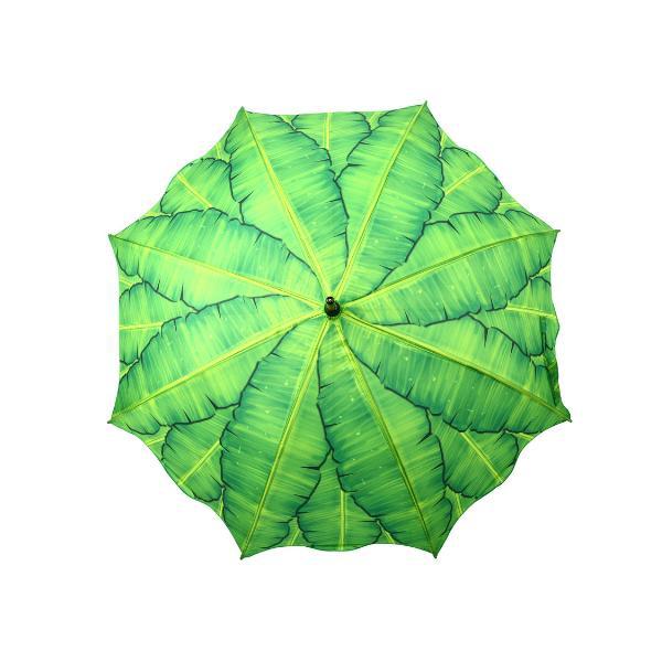 Feuilles de bananier parapluie