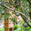 Pelle et support pour boules de graisse Lima