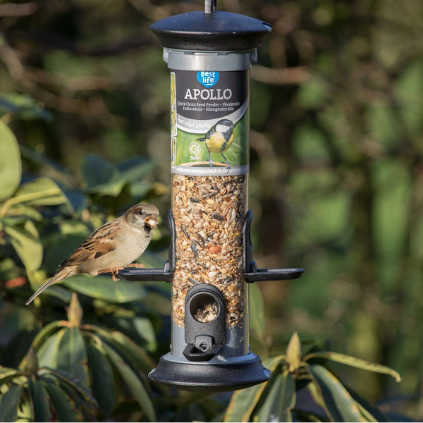 Silo d'alimentation « Apollo » 4 ouvertures (EasyClean)