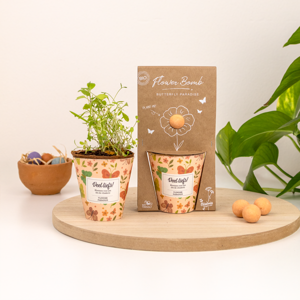 Grow Kit "Veel liefs!" met Vlinder Mix Zaadbommetje