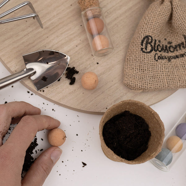 Grow Kit "Veel liefs!" met Vlinder Mix Zaadbommetje