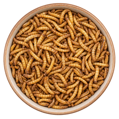 Meelwormen