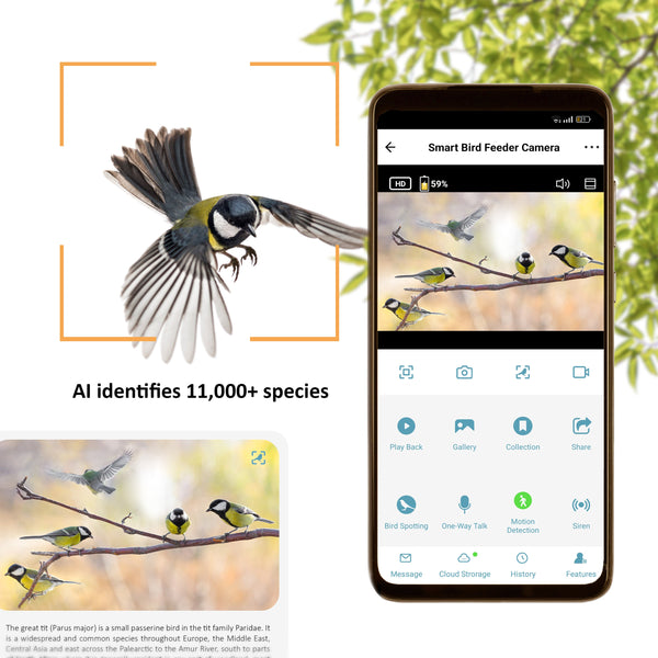 Camouflage EZ-BirdFeed - Mangeoire à oiseaux avec caméra IA