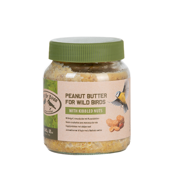 Beurre d'arachide d'oiseau avec des écrous