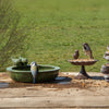Bain d'oiseau en céramique rond