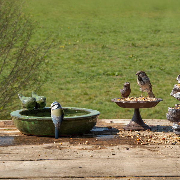 Bain d'oiseau en céramique rond