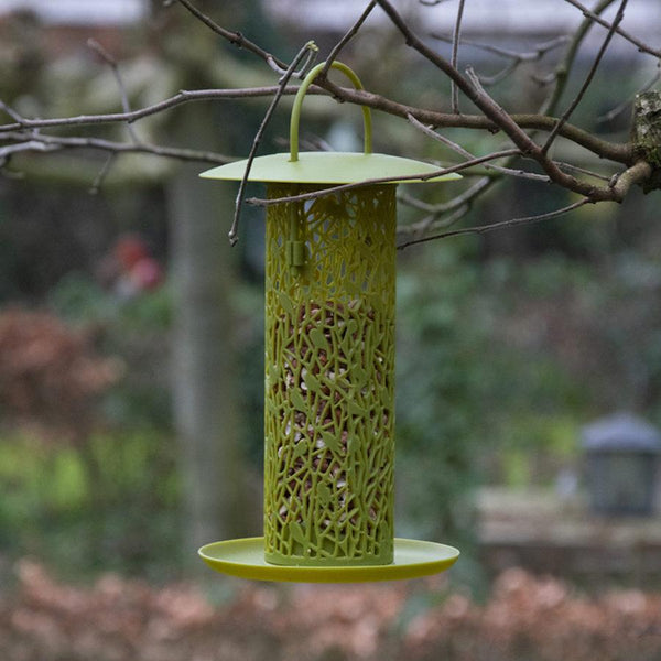 Silo à noix de paillette avec plateau