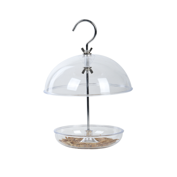 Mangeoire acrylique rouge-gorge