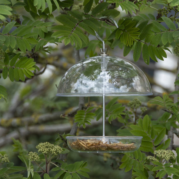 Acryl roodborstvoederhuis voor roodborstjes | Transparant hangend voederhuis tuin & balkon