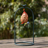 Support de mangeoire à oiseaux avec oiseau S