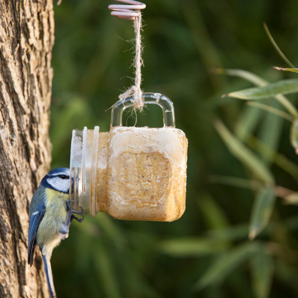 Tasse de jardin au beurre de cacahuètes Bird