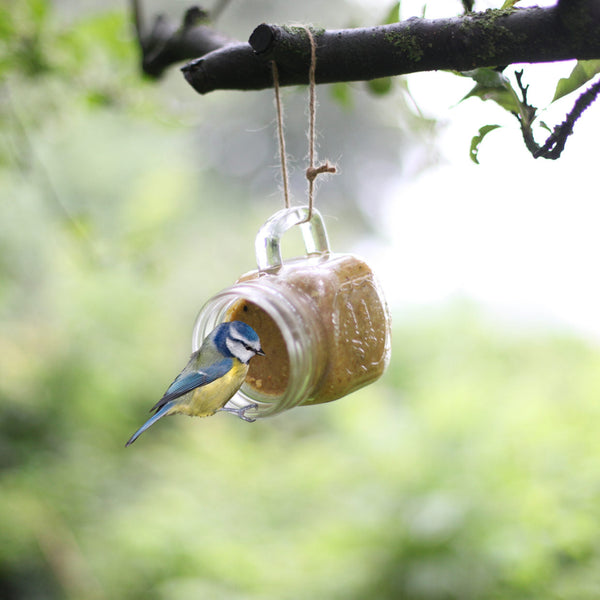 Tasse de jardin au beurre de cacahuètes Bird