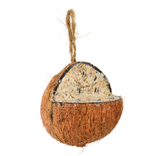 Noix de coco farcie