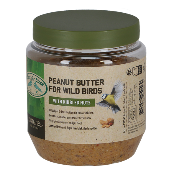 Beurre d'arachide d'oiseau avec des écrous