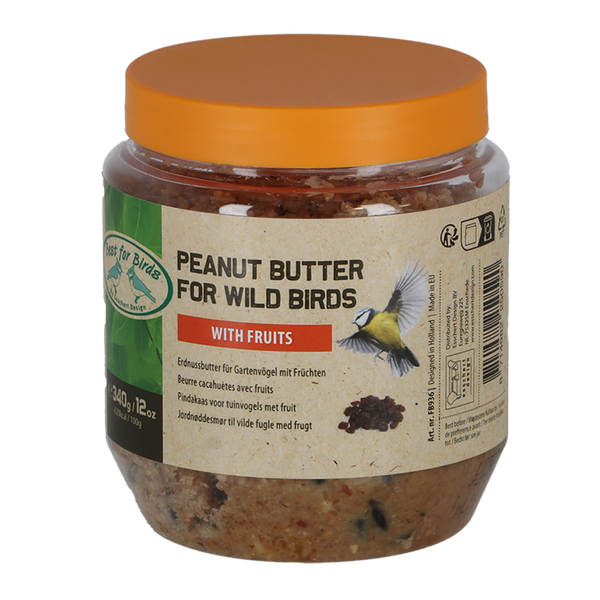 Beurre de cacahuète aux oiseaux et aux fruits