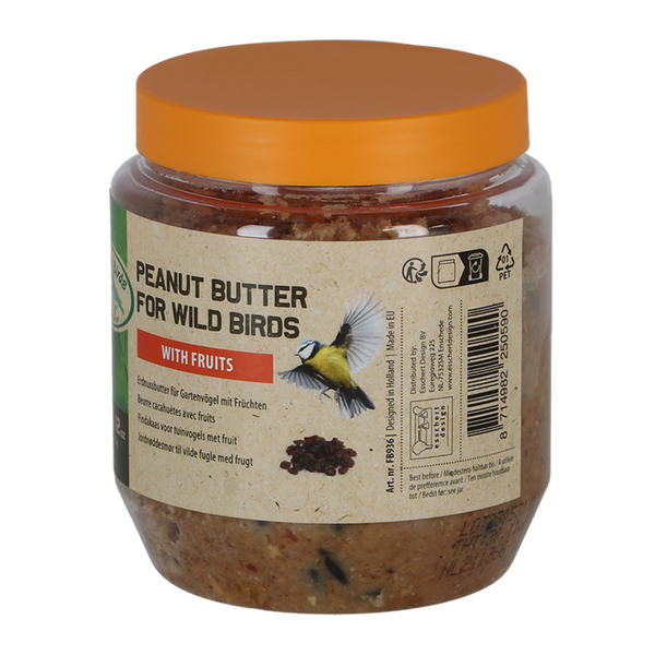 Beurre de cacahuète aux oiseaux et aux fruits