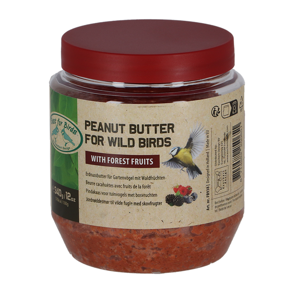 Beurre de cacahuète aux oiseaux et fruits des bois