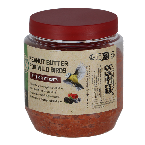 Beurre de cacahuète aux oiseaux et fruits des bois
