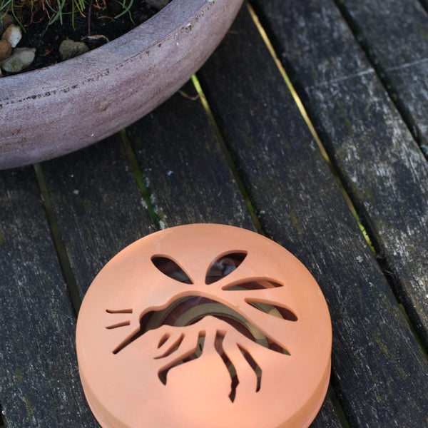 citron. spirales terre cuite