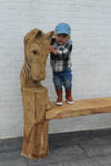 Sculpturen Bank paard