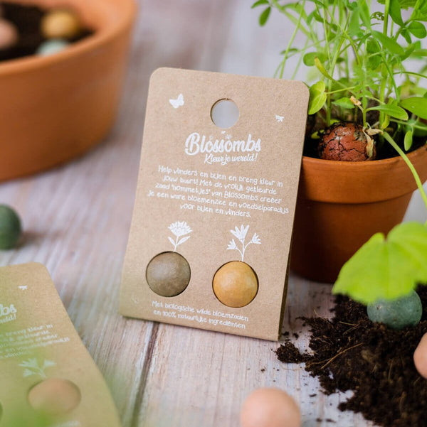 Blossombs - blister 2