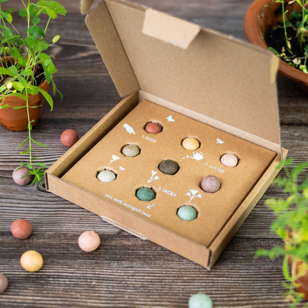 Blossombs - Coffret Moyen