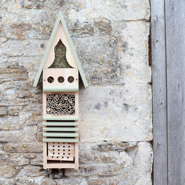 Centre d'étude des insectes