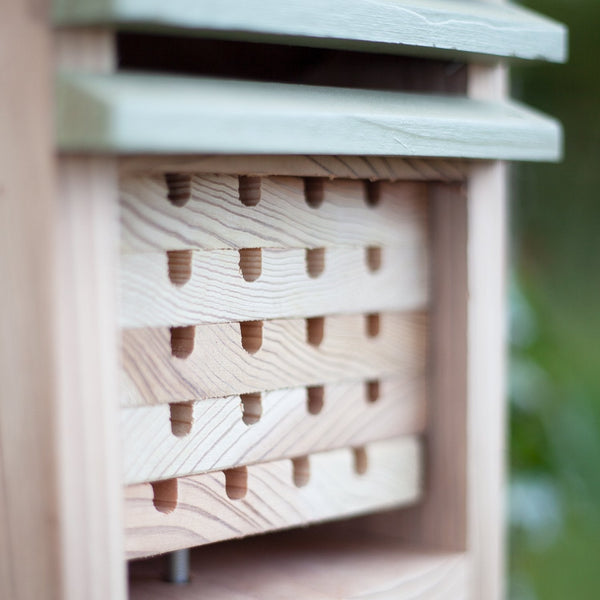 Centre d'étude des insectes