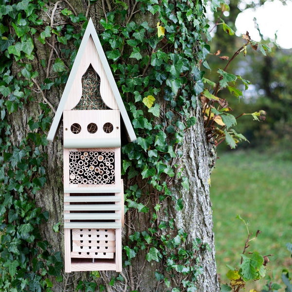 Centre d'étude des insectes