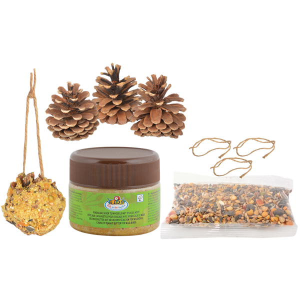 Nourriture pour oiseaux à faire soi-même