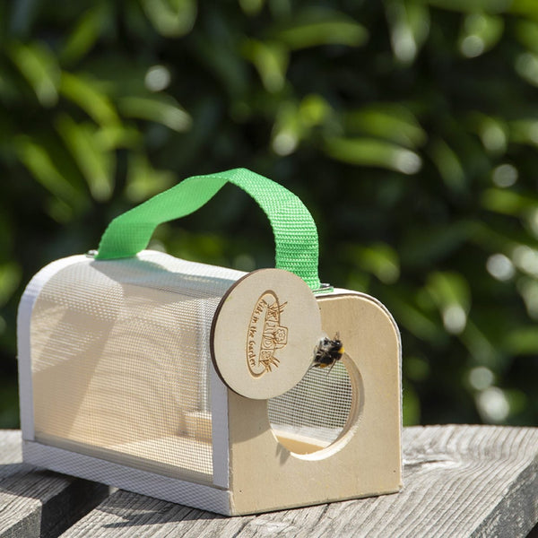 Houten insectenstudiedoos