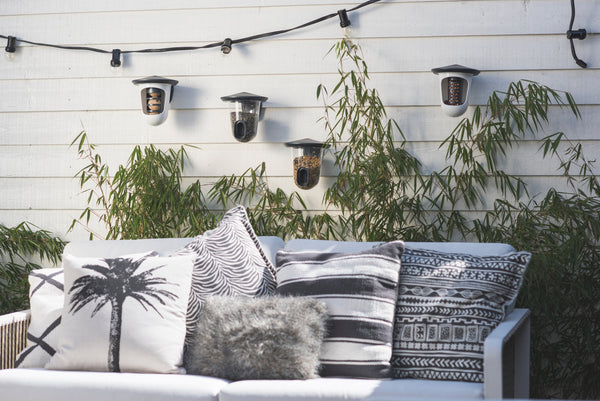 SingingFriend - FeedR transparent anthracite