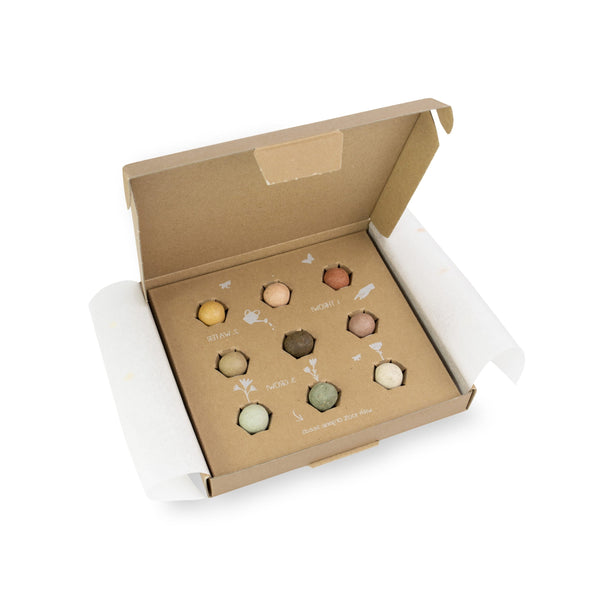 Coffret cadeau Blossombs – Des fleurs pour vous (moyen) | Cadeau durable avec Flower Bombs