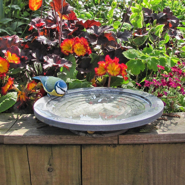 Bain d'oiseaux Oasis d'Aristote