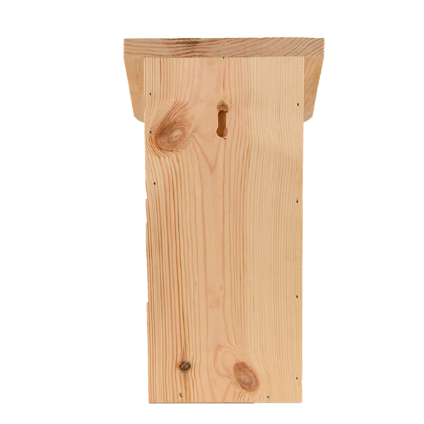 Nichoir mésange diapositive