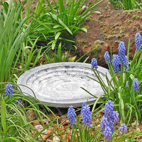 Aristotle Oasis vogelbad