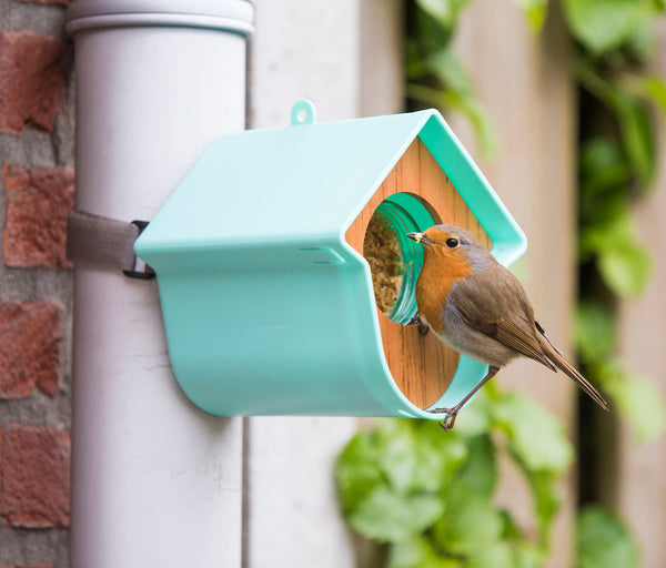 SingingFriend - Porte-pot de beurre de cacahuète Evie - menthe